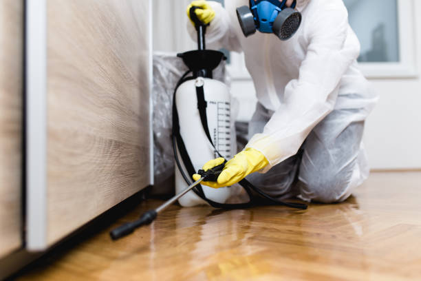  New Chicago, IN Pest Control Pros