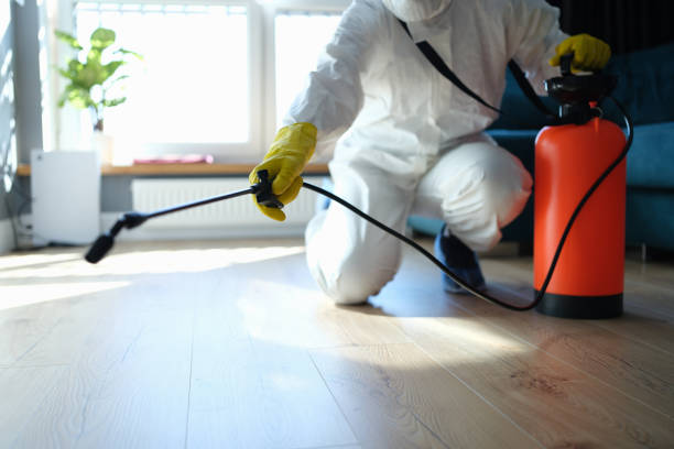 Reliable New Chicago, IN Pest Control Solutions