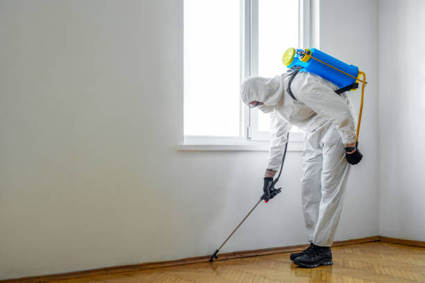 Wasp Removal Services in New Chicago, IN