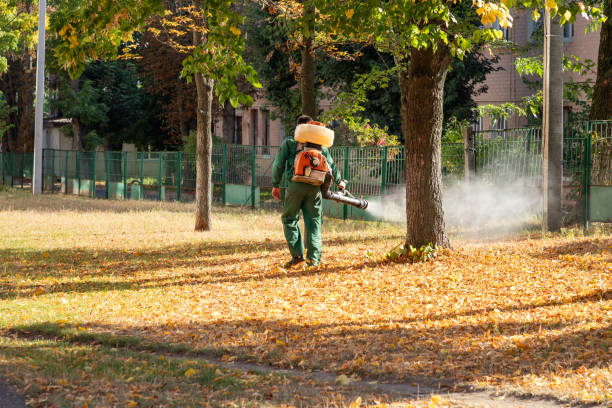 Best Rodent Control Near Me  in New Chicago, IN