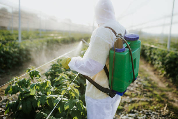 Best Commercial Pest Control Services  in New Chicago, IN